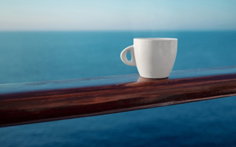 ¿El Crucero se mueve? Mitos y Verdades de Cómo es la Experiencia a Bordo