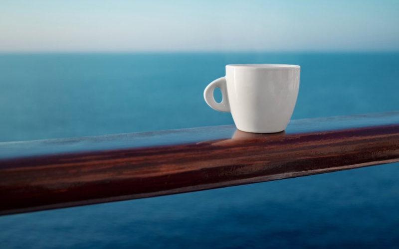 Lee más sobre el artículo ¿El Crucero se mueve? Mitos y Verdades de Cómo es la Experiencia a Bordo