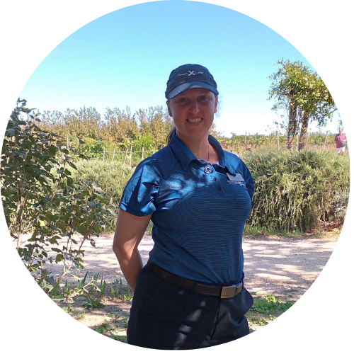 content creator web (5)