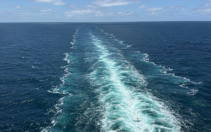 Lee más sobre el artículo Mareo en Cruceros: Qué Hacer Según una Ex Tripulante