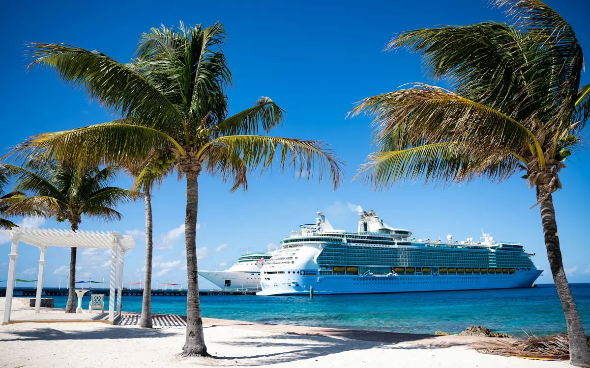 Crucero atracado junto a una playa con palmeras